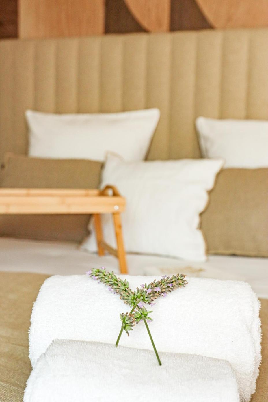 Les Gites De Laure - L'Eden Romantique, Chambres Hotes, Spa Prive, Couloir De Nage, Adults Only Malves-en-Minervois ภายนอก รูปภาพ