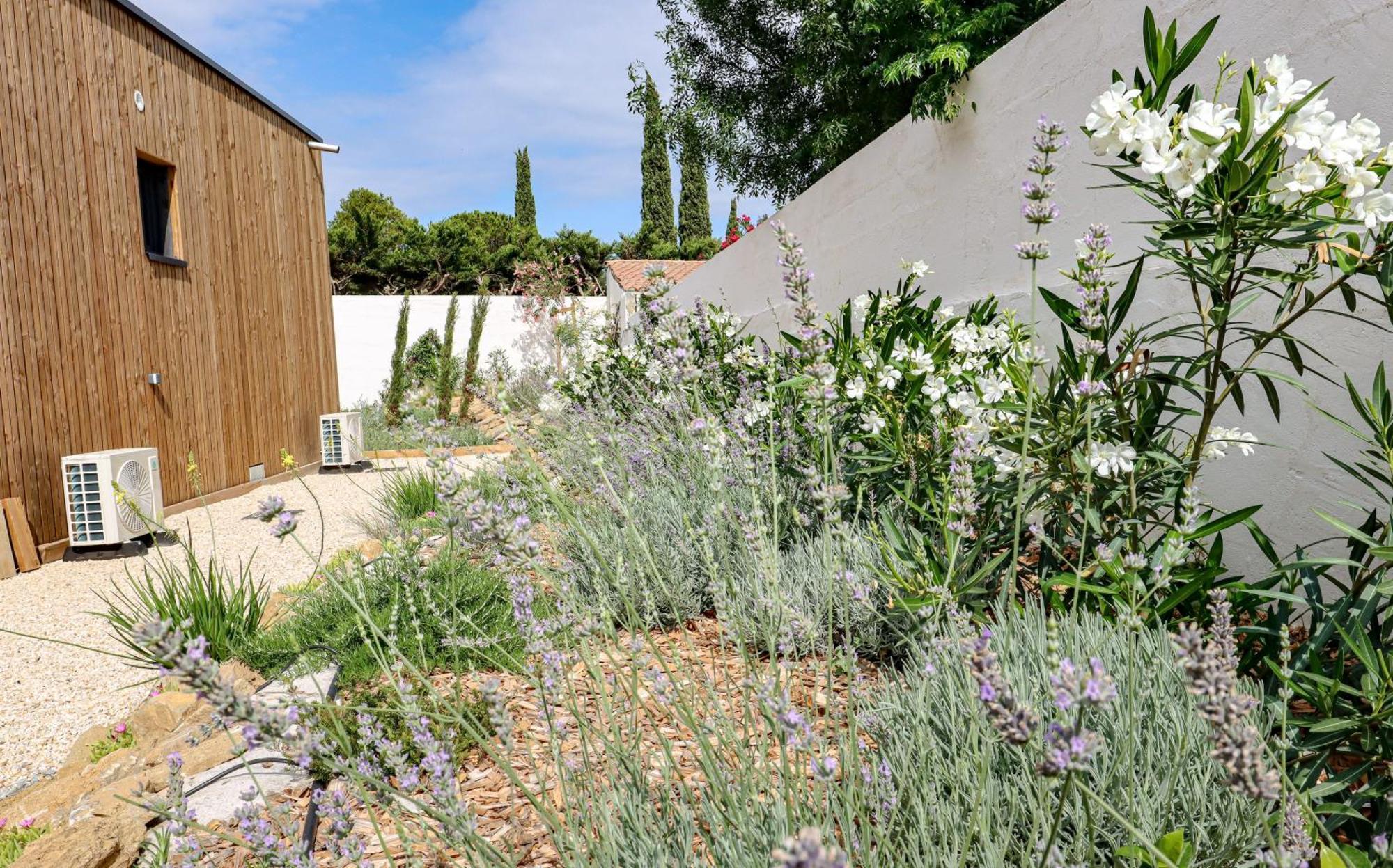 Les Gites De Laure - L'Eden Romantique, Chambres Hotes, Spa Prive, Couloir De Nage, Adults Only Malves-en-Minervois ภายนอก รูปภาพ